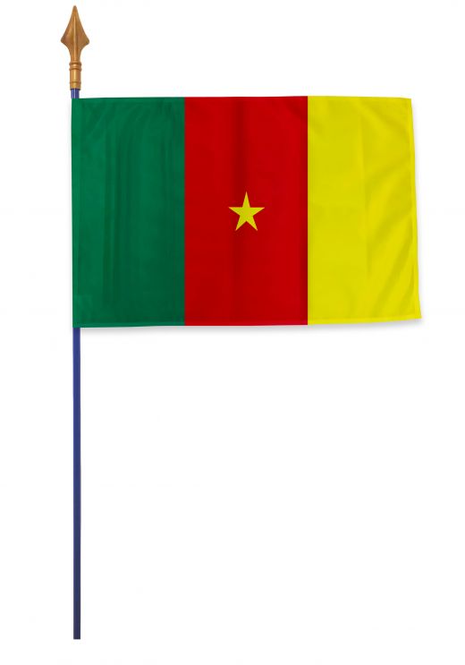 Drapeau Cameroun Varinard 40*60 cm