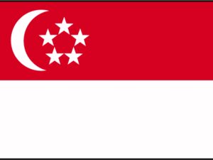 Drapeau Singapour