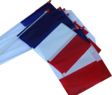 Drapeau Plastique France
