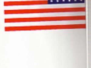 Drapeau plastique états unis