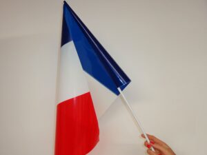 Drapeaux plastique France  40*60 cm