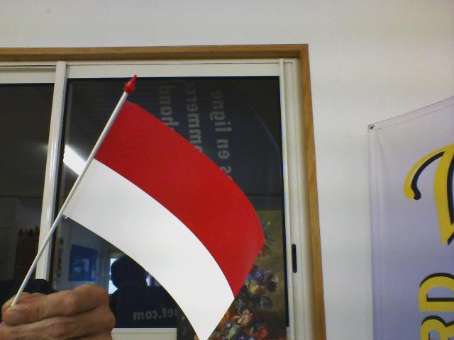 drapeau plastique MONACO 10*15 CM