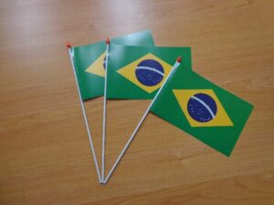 drapeau plastique brésil 10*15