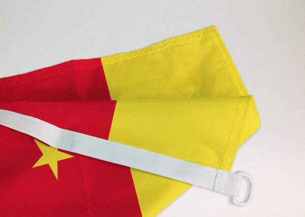 Drapeau Cameroun