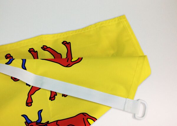 Drapeau Béarn