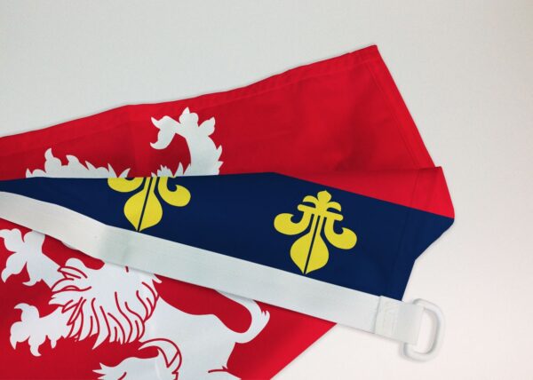 Drapeau Lyonnais