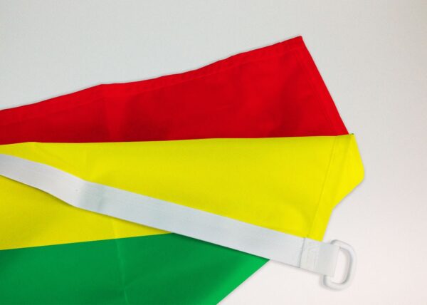 Drapeau Lituanie
