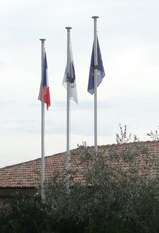 Mât cylindrique potence hissable