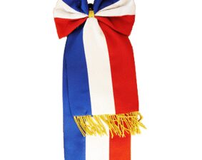 Cravate tricolore