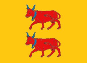 Drapeau Béarn