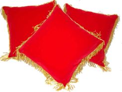 Coussin velours