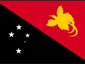 Drapeau Papouasie Nouvelle Guinée