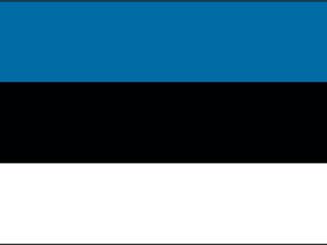 Drapeau Estonie