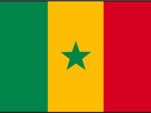Drapeau Sénégal