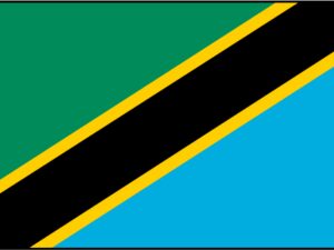 Drapeau Tanzanie