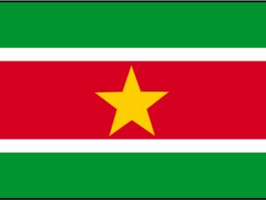 Drapeau Surinam