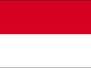 Drapeau Indonésie